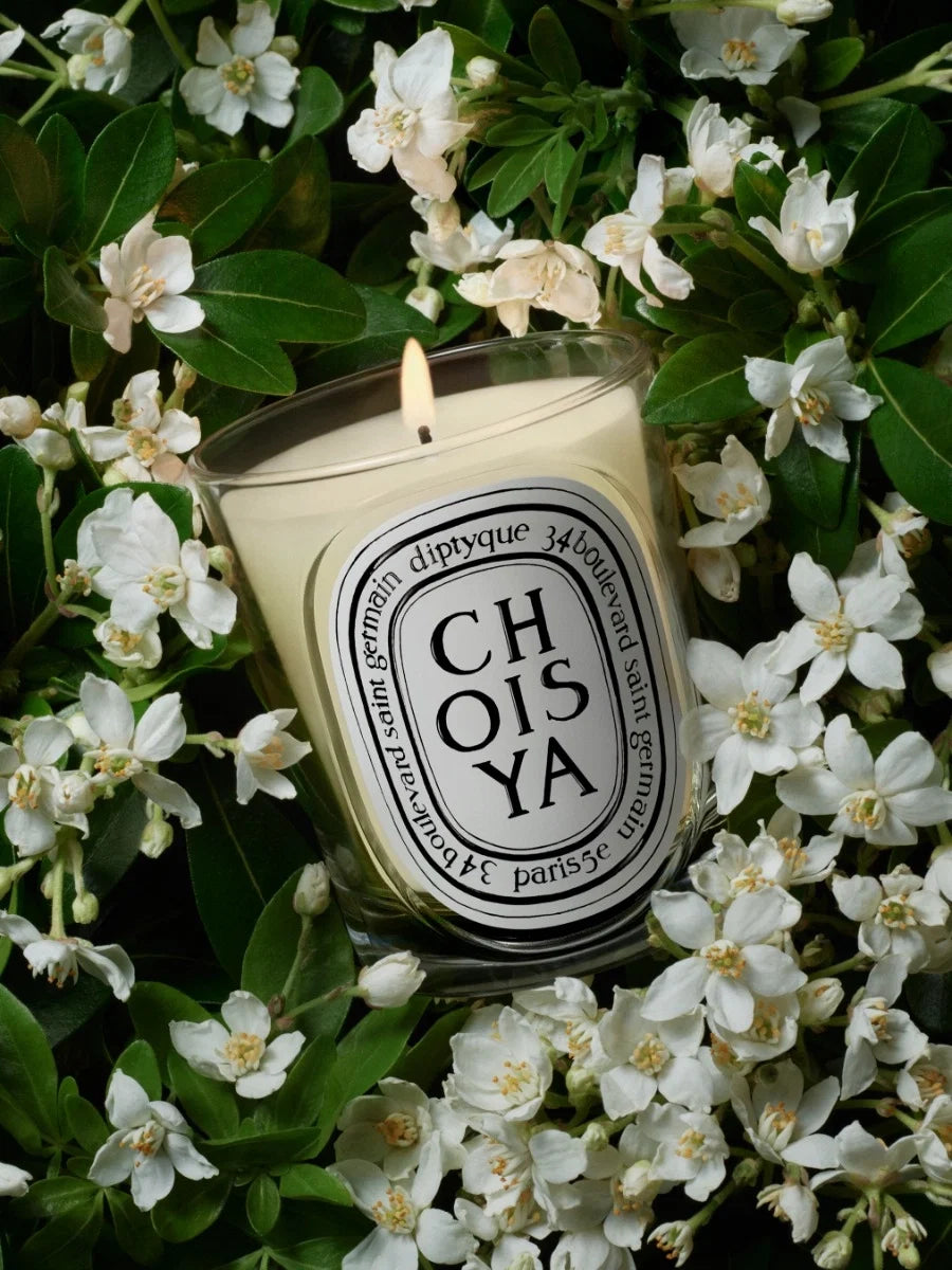 CHOISYA (ORANGE BLOSSOM) CLASSIC CANDLE CLASSIC - 6.7 OZ