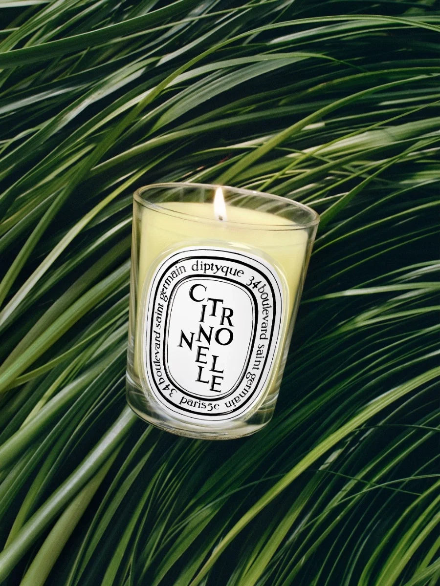 CITRONNELLE (LEMONGRASS) CLASSIC CANDLE CLASSIC - 6.7 OZ